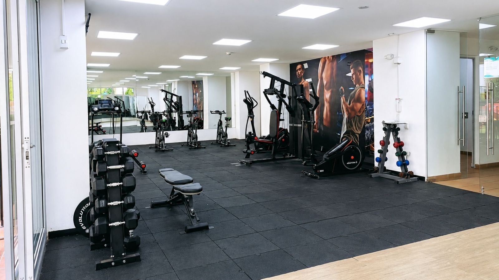 Gimnasio